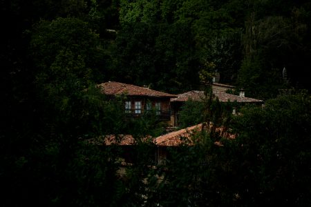 Къщи сред тъмна гора.